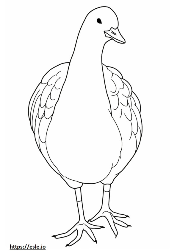 Jacana full body coloring page