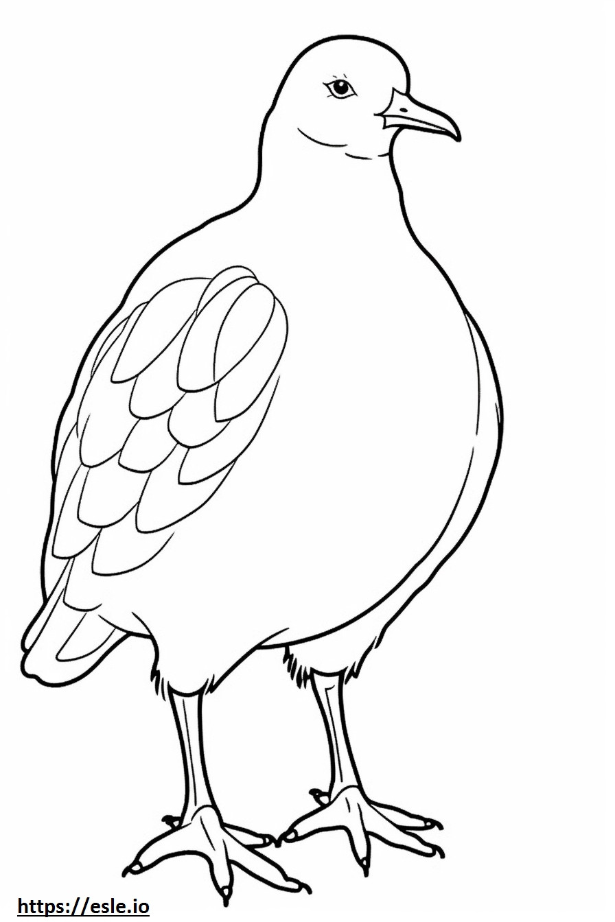 Jacana full body coloring page
