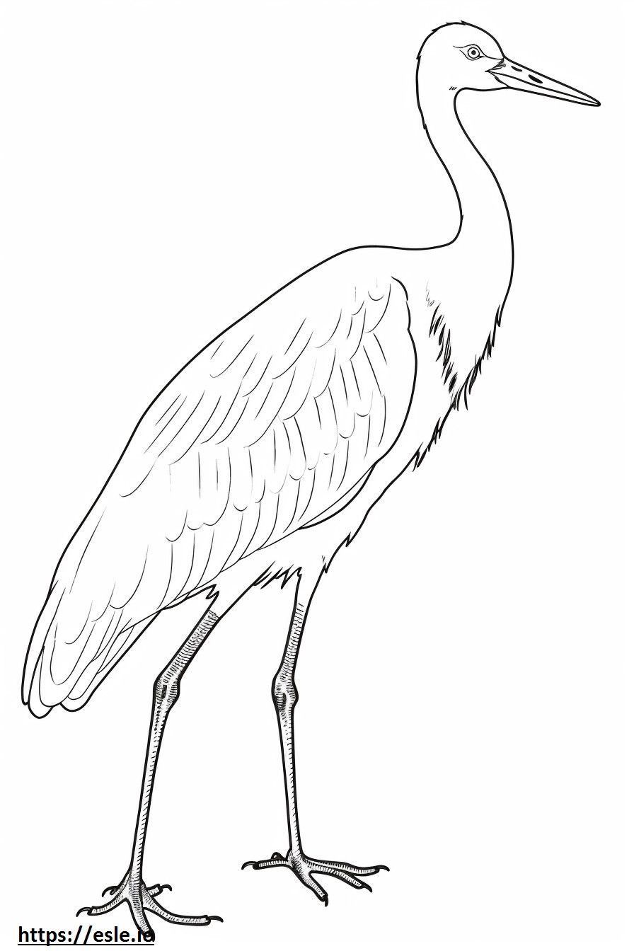 Whooping Crane, volledig lichaam kleurplaat kleurplaat