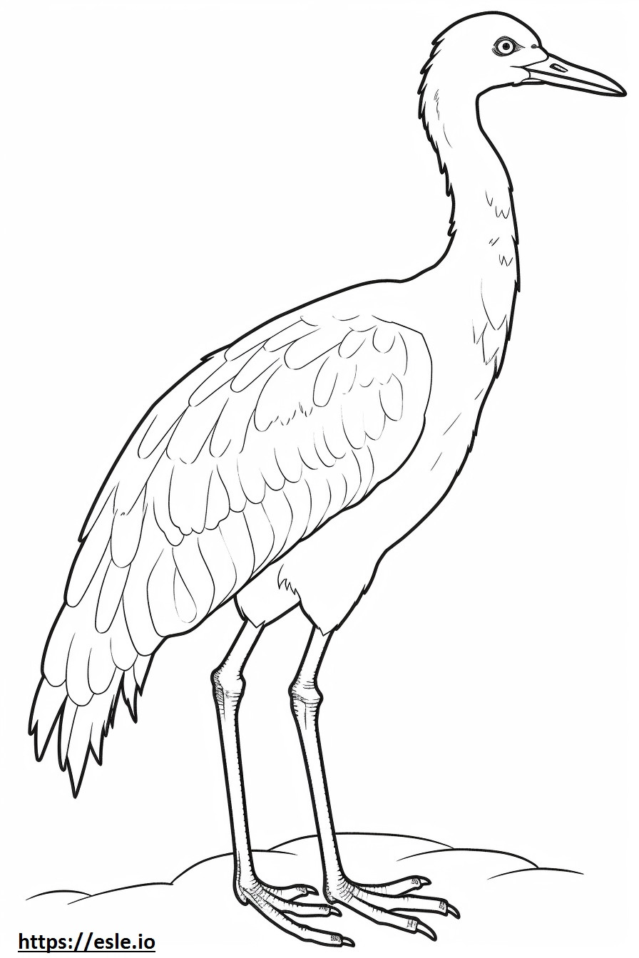 Whooping Crane koko vartalo värityskuva