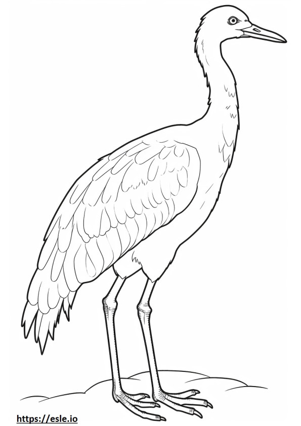 Whooping Crane full body coloring page
