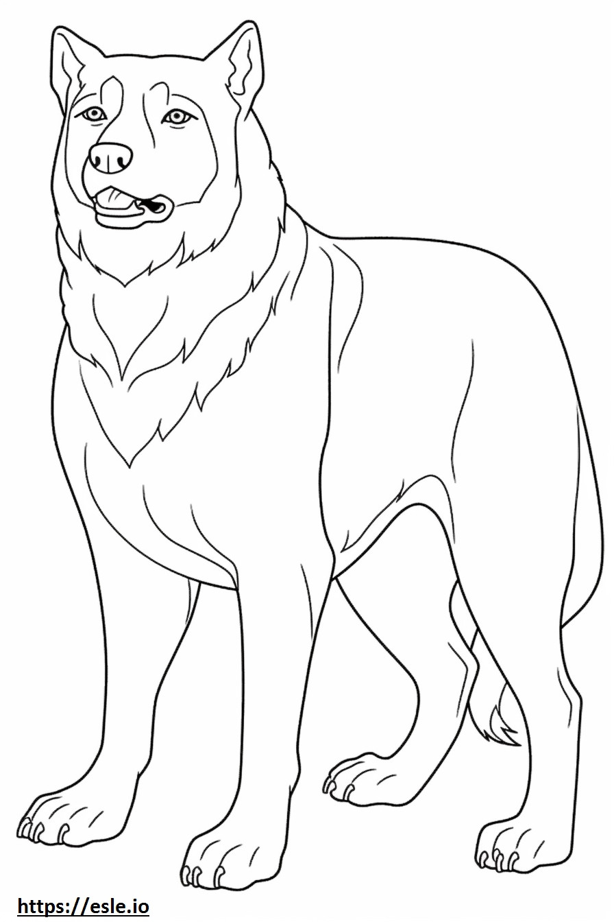 Rottweiler cute coloring page