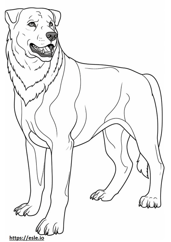 Rottweiler śliczny kolorowanka