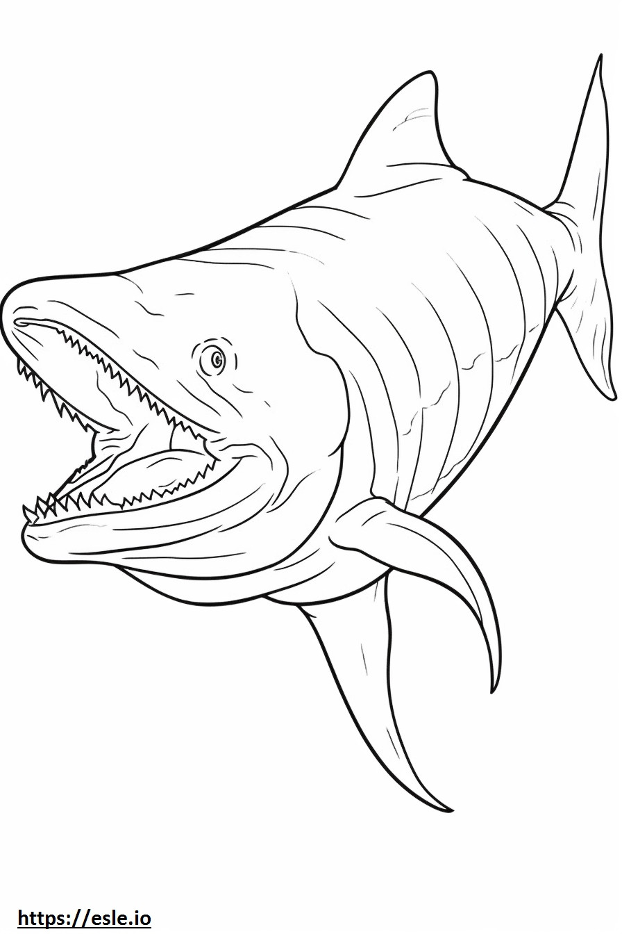 Megamouth Shark full body coloring page