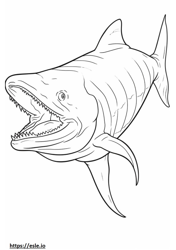 Tubarão Megamouth de corpo inteiro para colorir