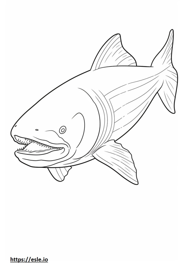Megamouth Shark full body coloring page