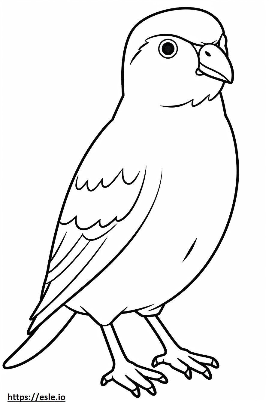 Gorrión común (gorrión inglés) Kawaii para colorear e imprimir