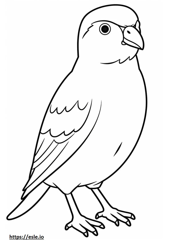 House Sparrow (englanniksi Sparrow) Kawaii värityskuva
