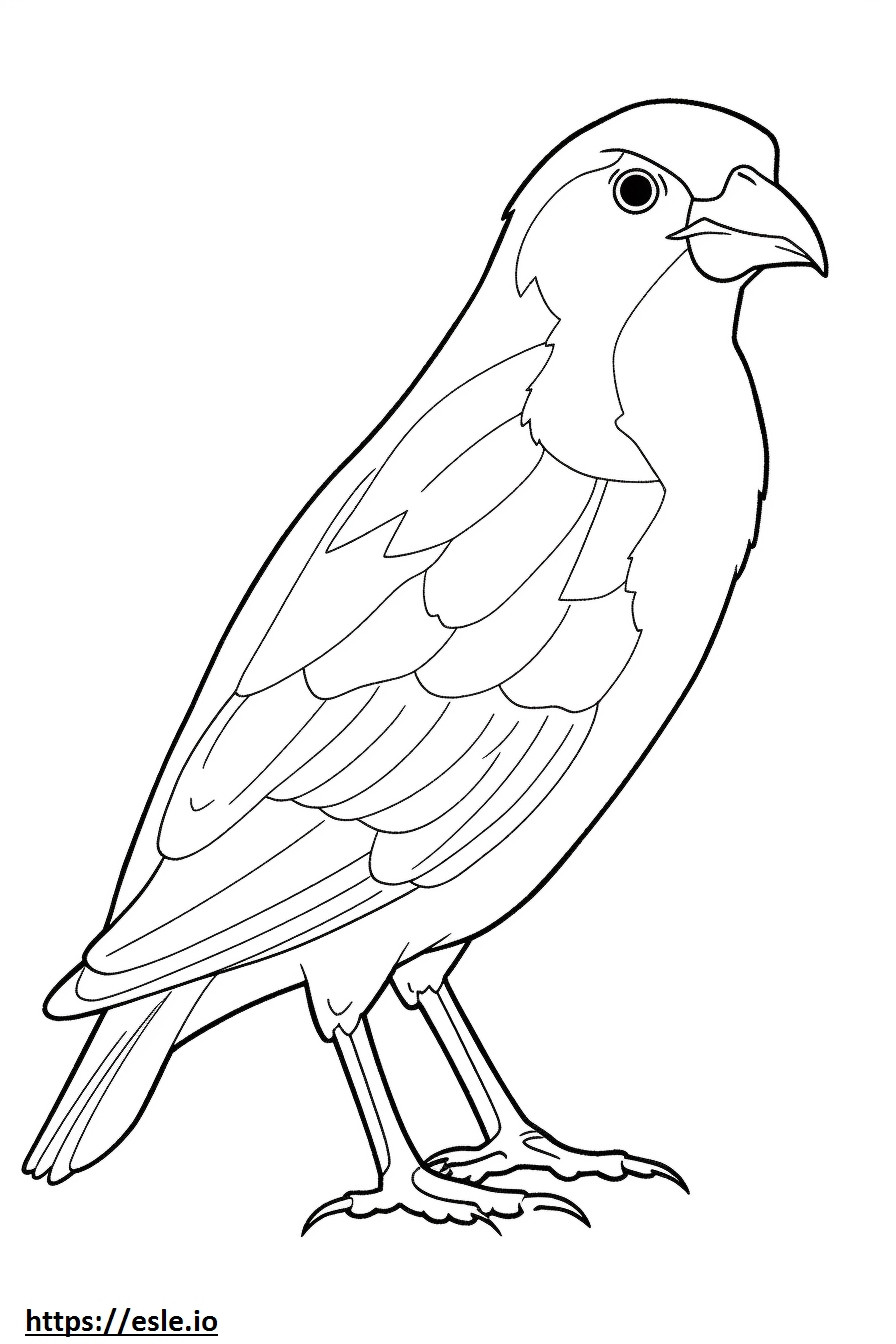 Passero domestico (passero inglese) Kawaii da colorare