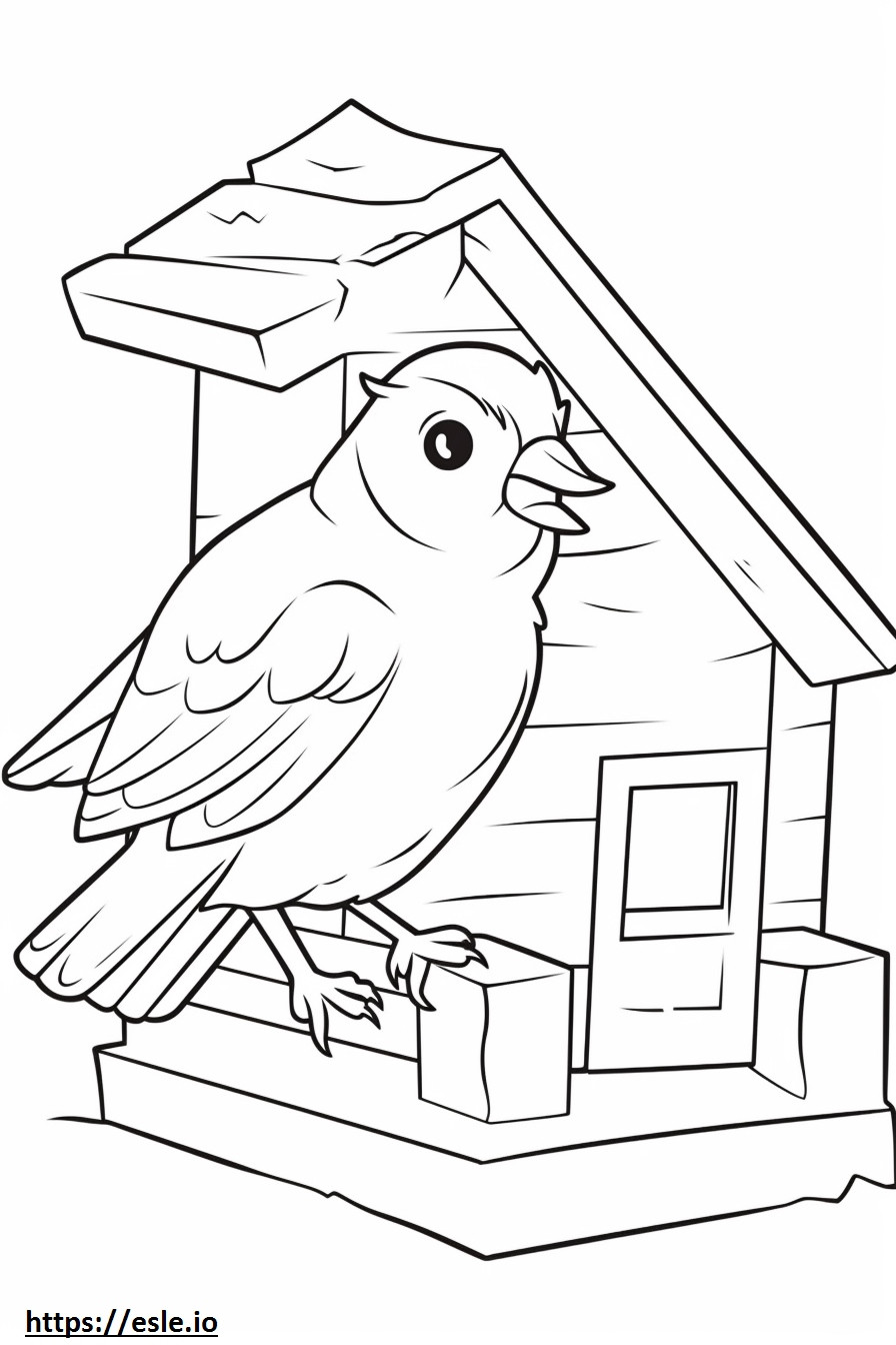House Sparrow (English Sparrow) Kawaii coloring page