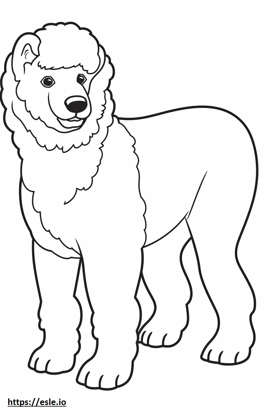 Toy Poodle full body coloring page