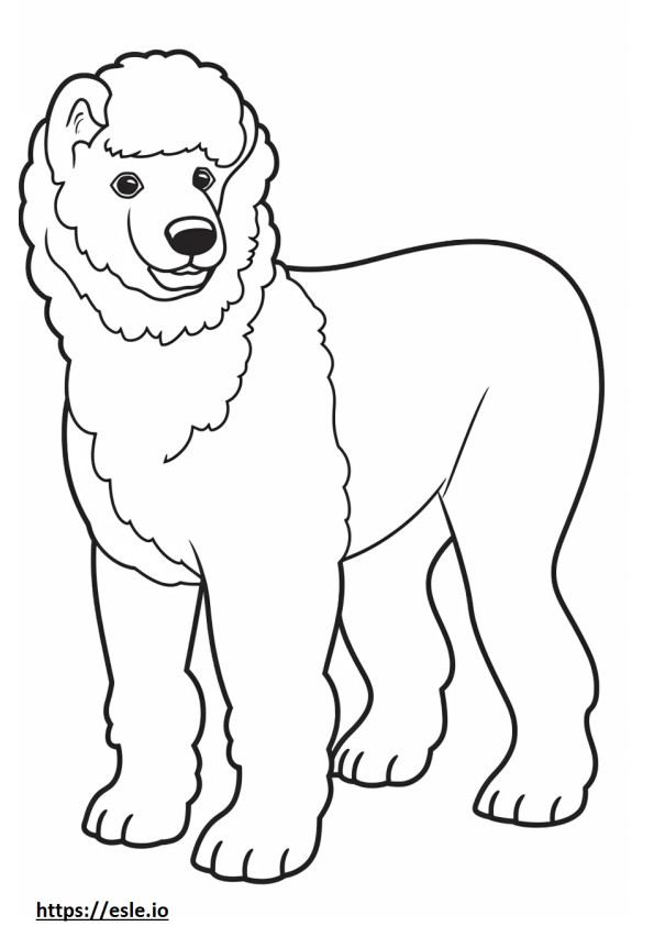 Toy Poodle full body coloring page