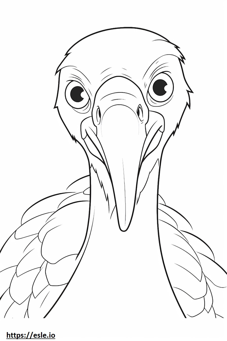 Turcia Vulture fata de colorat