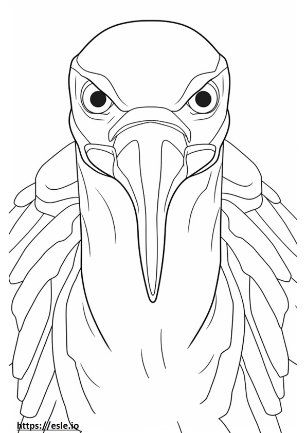 Turkey Vulture face coloring page