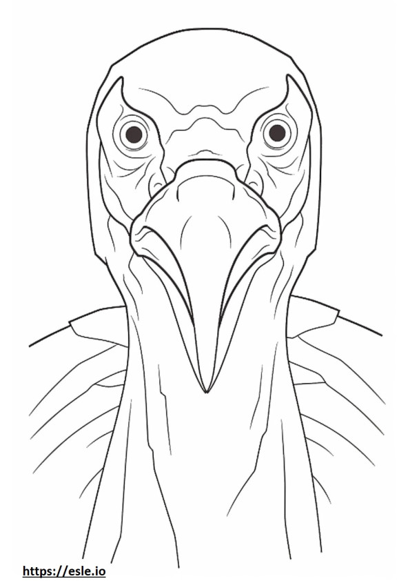 Cara de abutre de peru para colorir
