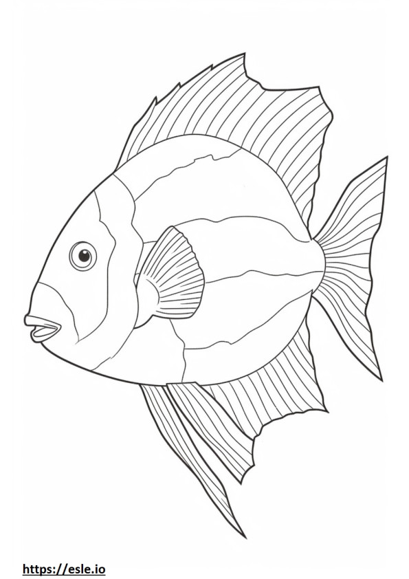 Green Sunfish teljes test szinező
