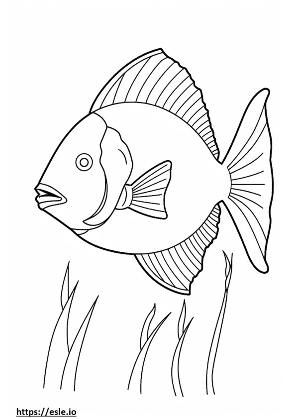 Green Sunfish full body coloring page