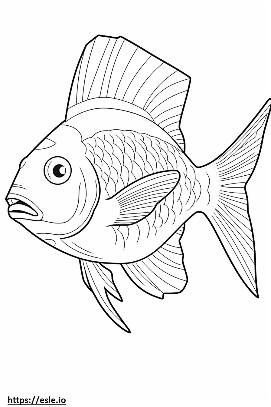 Squirrelfish full body coloring page