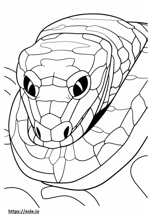 Gaboon Viper cute coloring page
