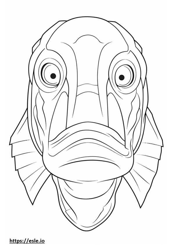 Fața de monkfish de colorat
