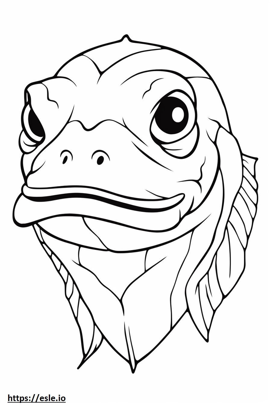 Monkfish arc szinező