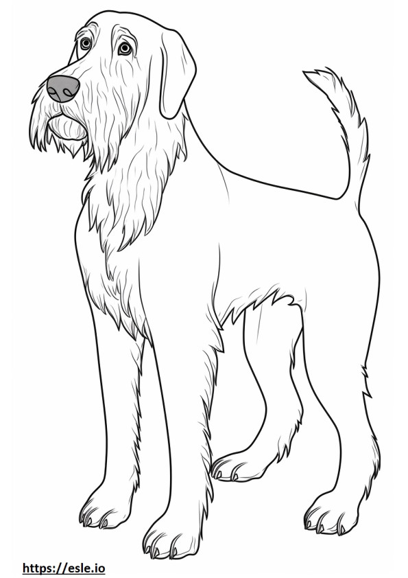 Wirehaired Pointing Griffon cute coloring page