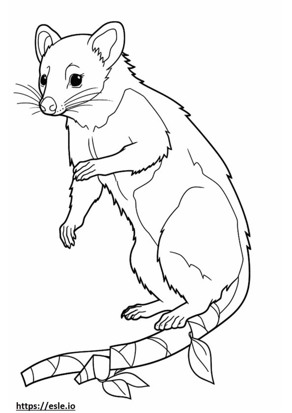 Possum full body coloring page