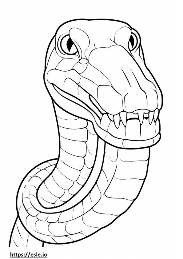 Rubber Boa face coloring page