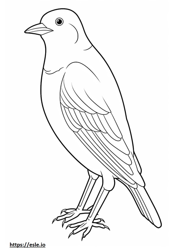 American Robin full body coloring page