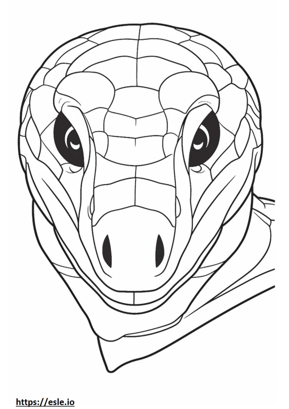 Spider-Tailed Horned Viper face coloring page