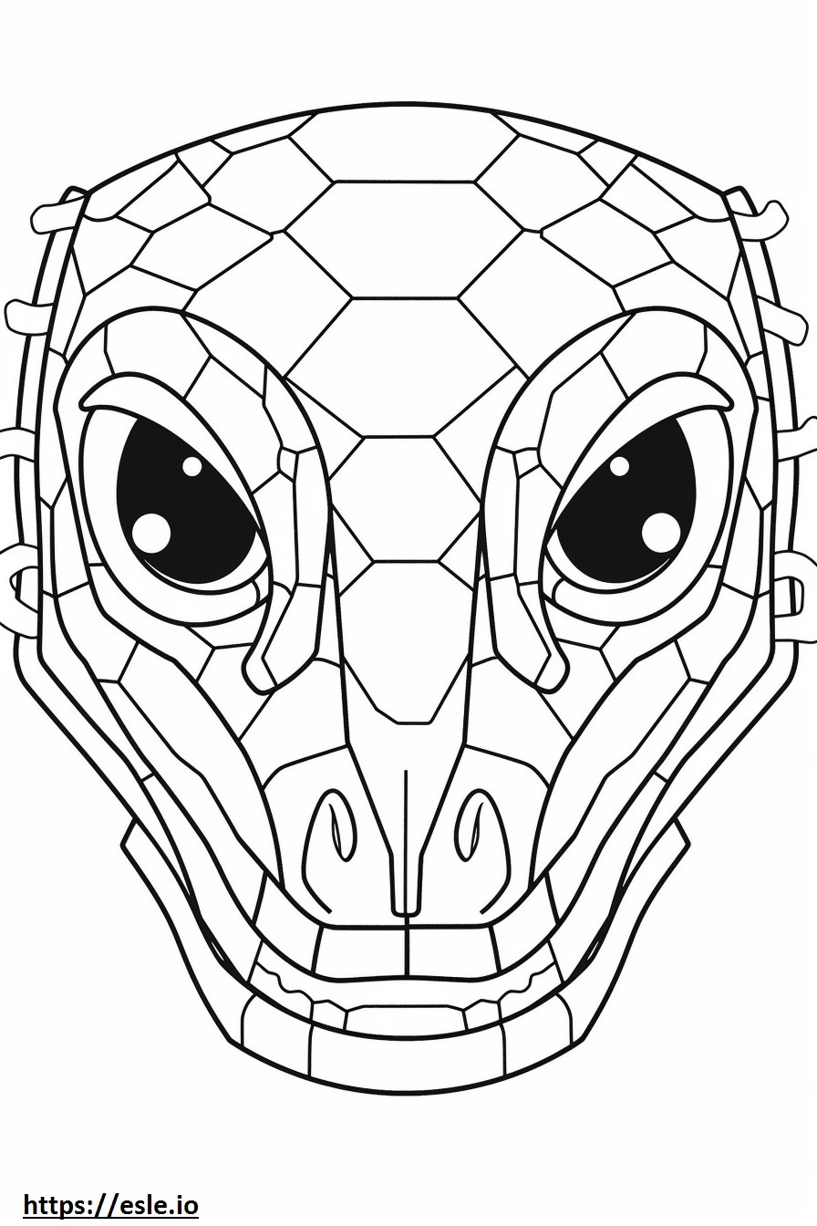 Spinnenschwanz-Hornotter-Gesicht ausmalbild