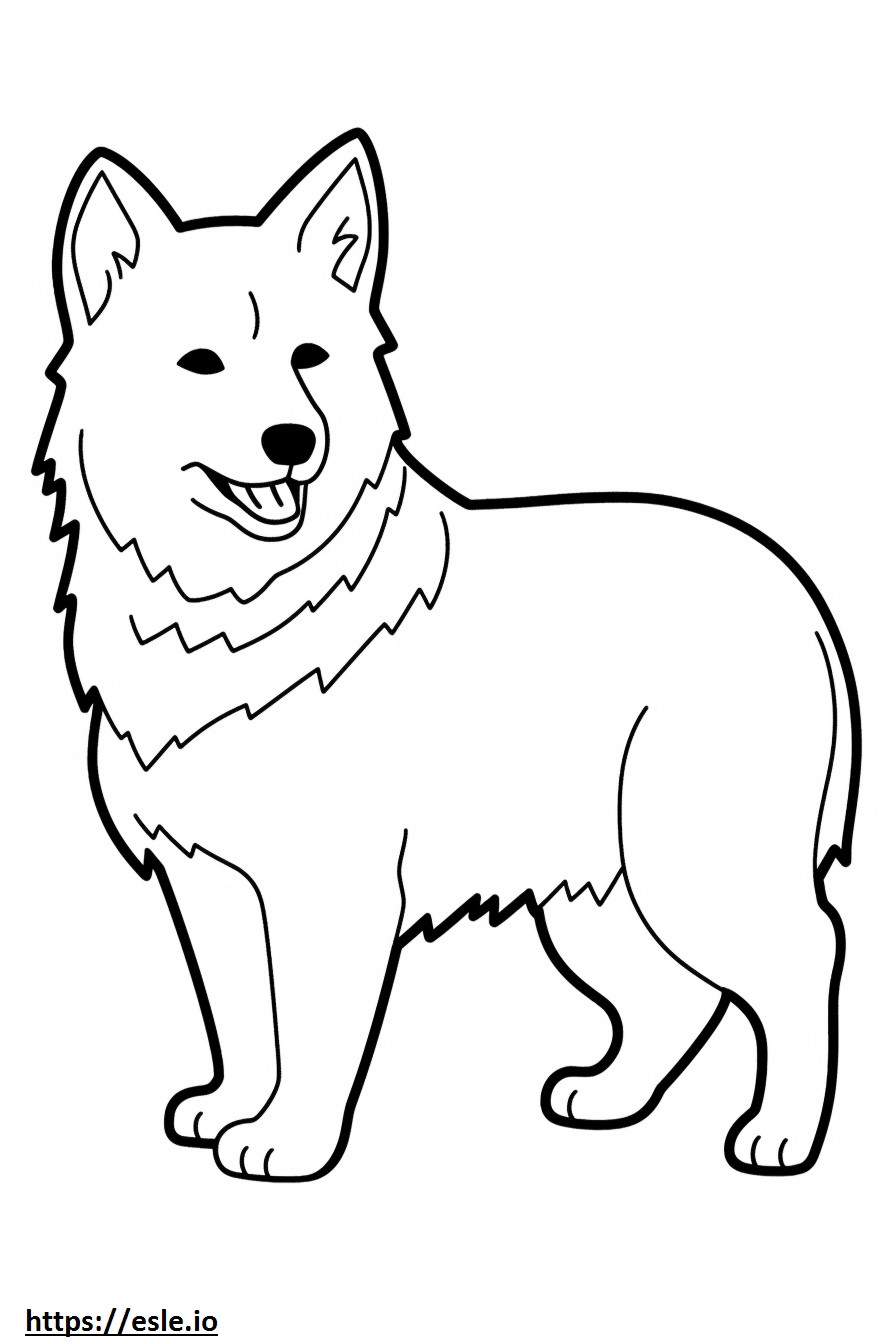 Cão pastor islandês Kawaii para colorir