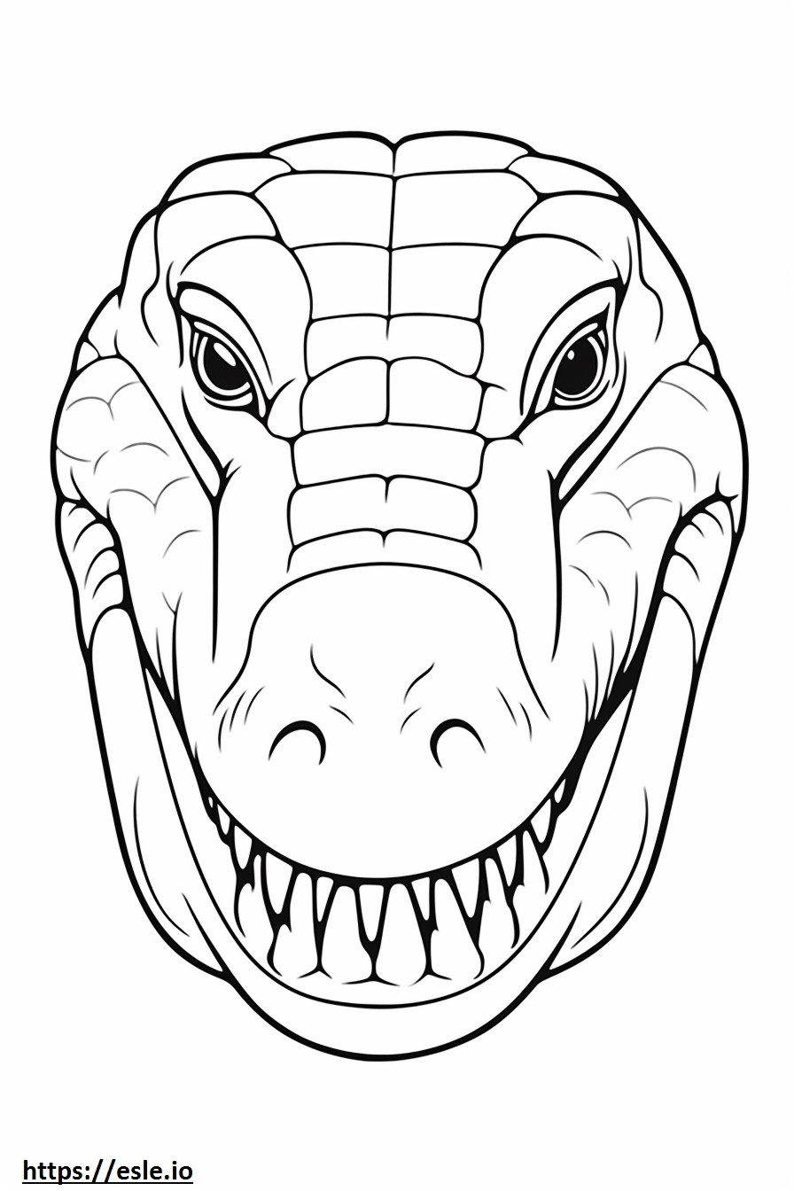 Niilin krokotiilin kasvot värityskuva