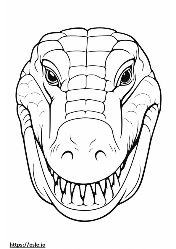 Nílusi krokodil arc szinező