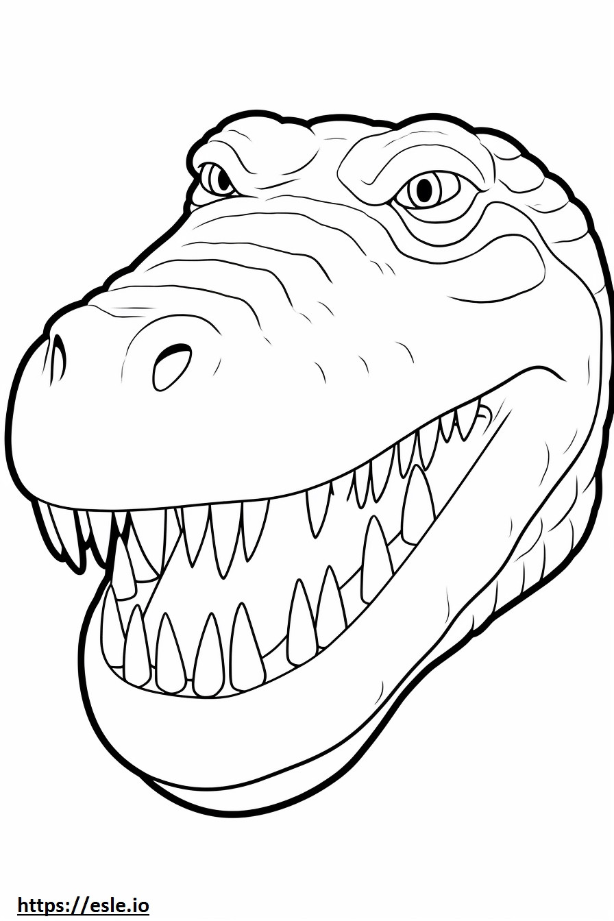 Nílusi krokodil arc szinező
