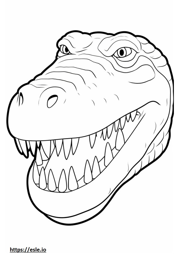 Nile Crocodile face coloring page