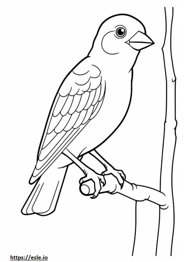 Hepatic Tanager (Red Tanager) Kawaii szinező