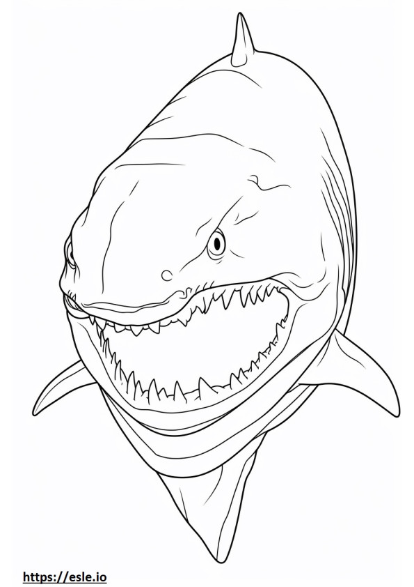 Cara de tubarão Kitefin para colorir