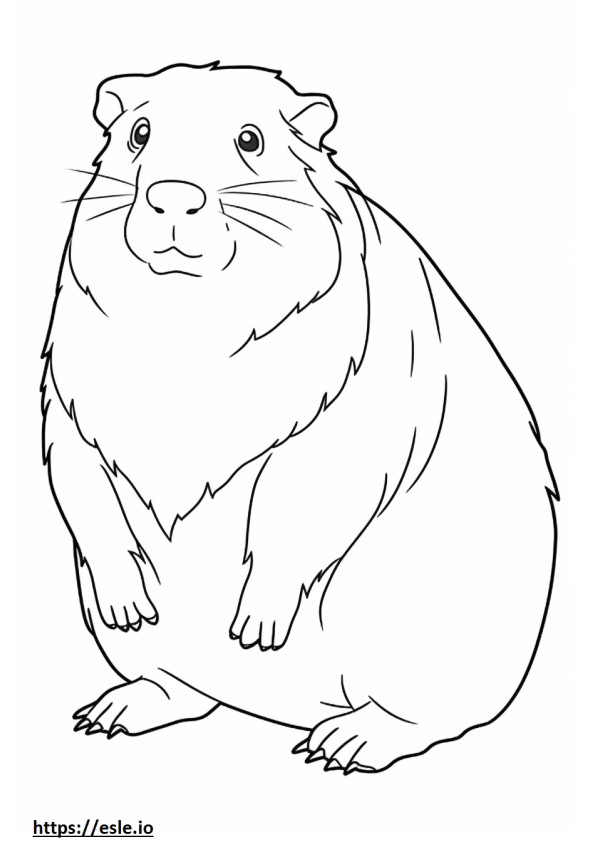 Guinea Pig full body coloring page