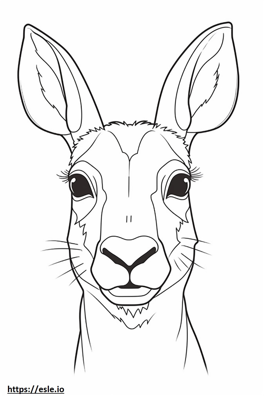Hare face coloring page