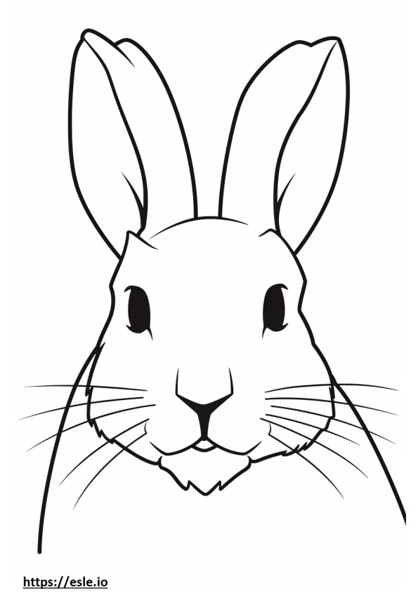 Tavşan yüzü boyama