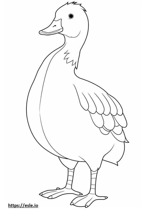 Pato Moscóvia Kawaii para colorir
