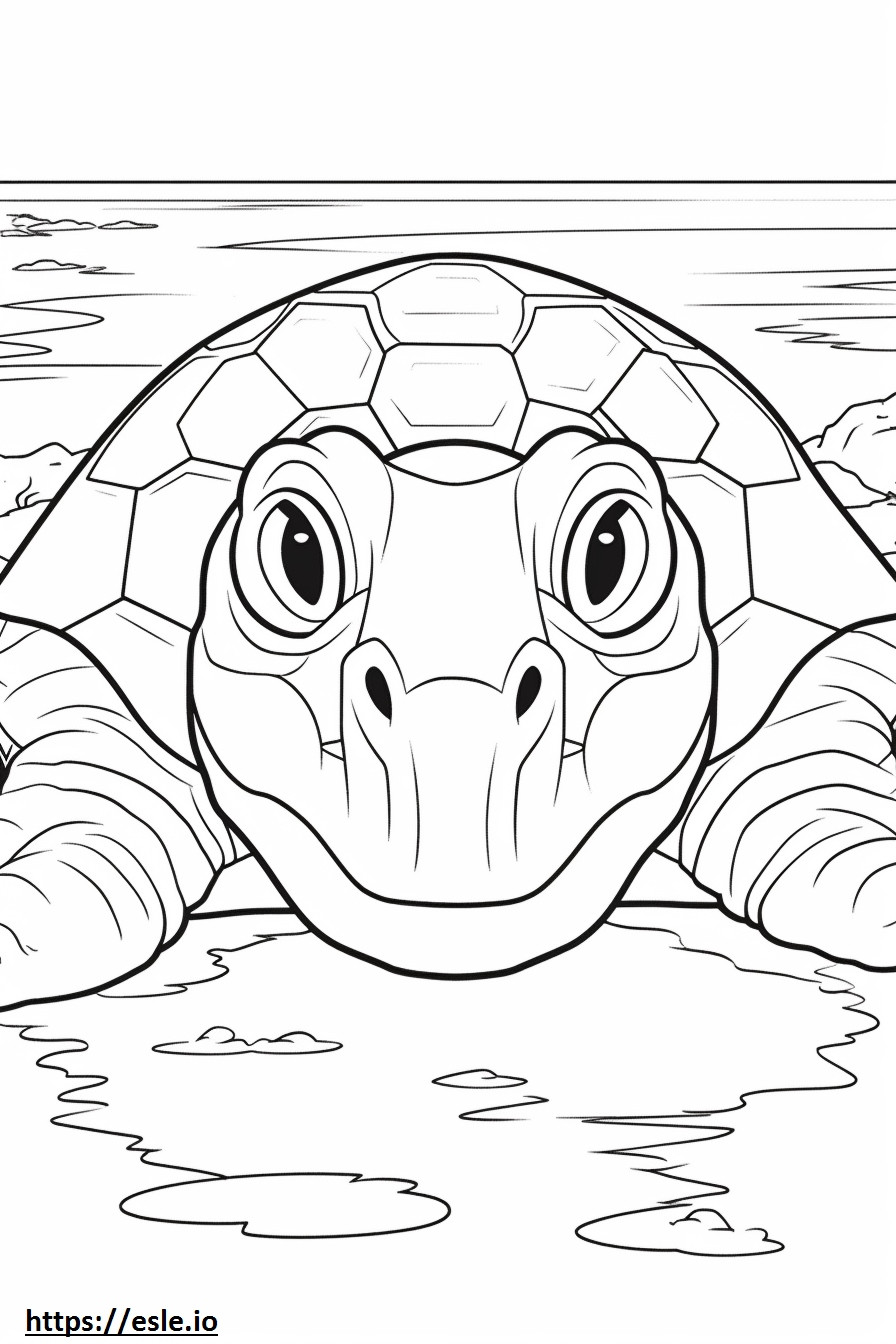 Twarz żółwia rzecznego kolorowanka
