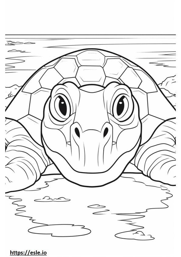 Twarz żółwia rzecznego kolorowanka