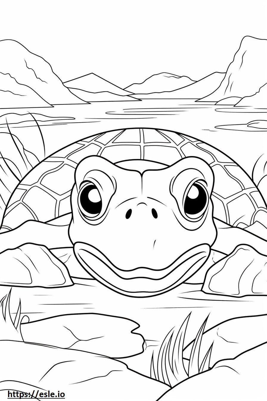 Gesicht der Flussschildkröte ausmalbild