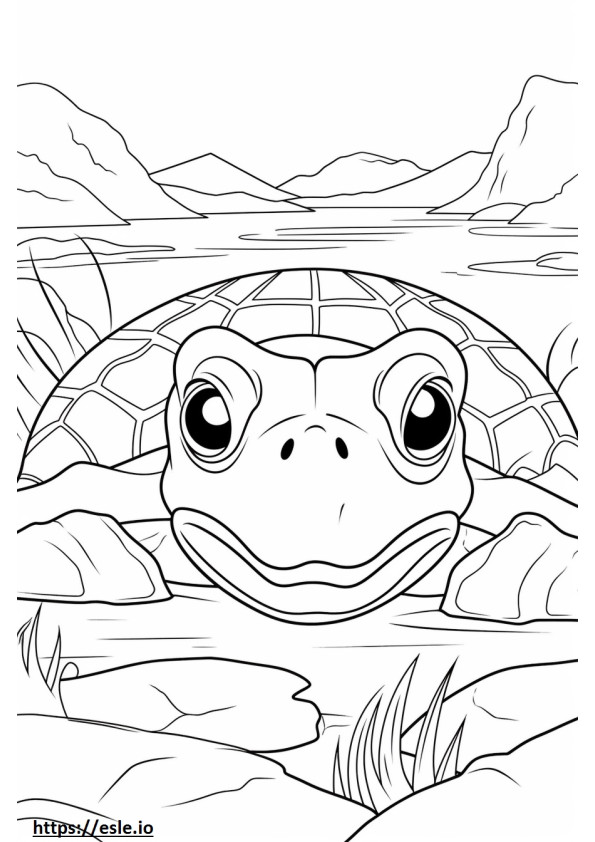 Cara de tartaruga do rio para colorir