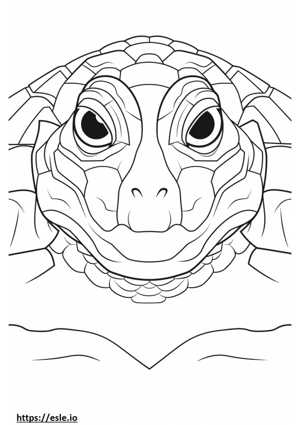Coloriage Visage de tortue de rivière à imprimer
