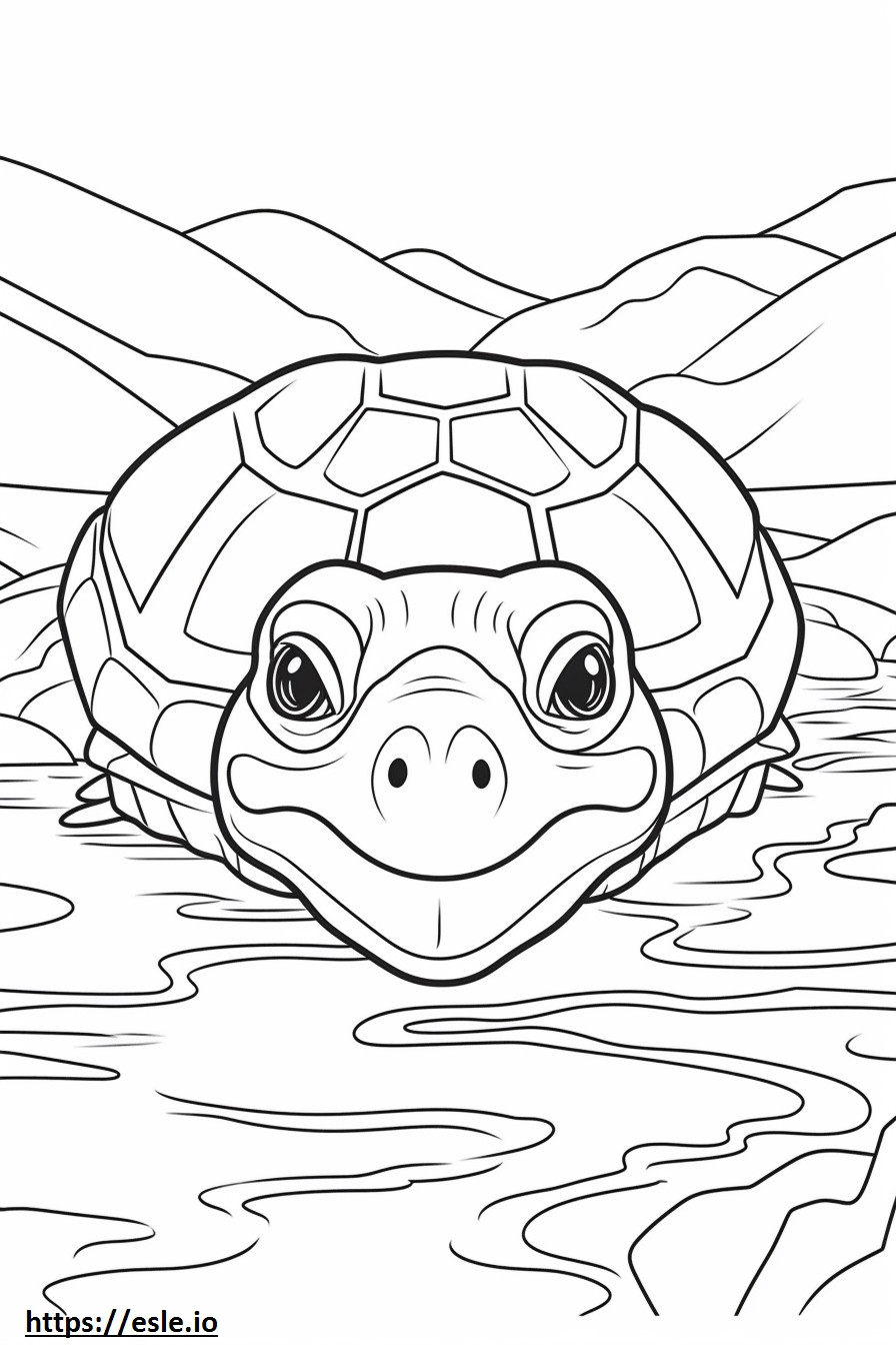 Coloriage Visage de tortue de rivière à imprimer