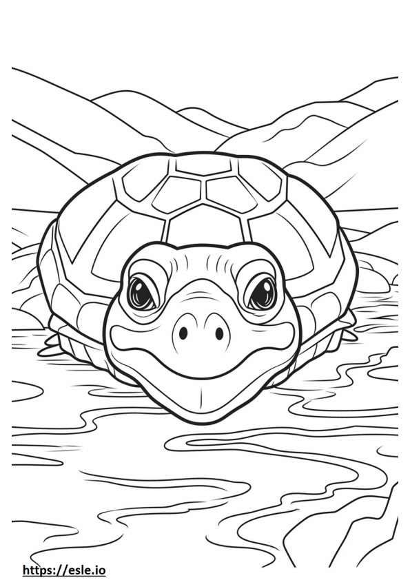 River Turtle face coloring page