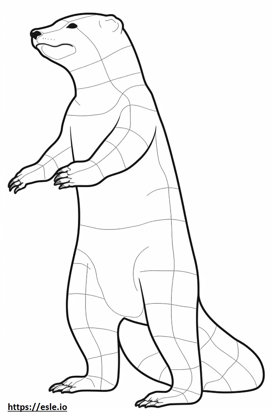 River Otter full body coloring page